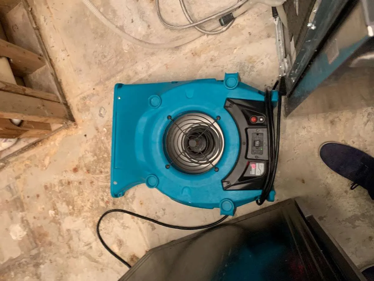 Air mover drying equipment for Mold Remediation & Removal in Vernon